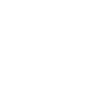 BSI Logo - Burns Septic and Portable Toilets